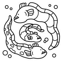 1 件海洋之家：成人和青少年适用的 Coco 涂色书，超级可爱的舒适设计涂色书，Hygge 放松空间涂色书（舒适空间涂色）。涂色书释放情绪，缓解焦虑 | 节日和特殊场合的理想礼物 [手绘必备] 海洋之家涂色书，零基础临摹，涂鸦减压，可作为学校用品，返校