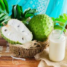 Seed Soursop Fruit Tree Seed For Planting Outdoor- Non-GMO Heirloom Fresh Tropical Fruit Plant In Your Containers Home Garden - 10件 - 查看 3