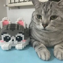 3200片猫咪纸巾盒积木玩具，多功能积木，既是精美的摆件又是纸巾盒，3D拼图积木玩具摆件，理想的感恩节、圣诞节、万圣节和生日礼物