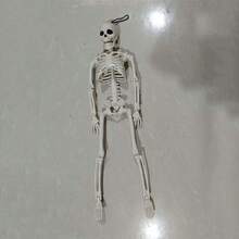 Halloween Skeleton - 40/90cm Halloween Skeletons Decorations, Full Body Posable Joints 15'' Skeletons, Realistic Human Bones With Movable Joints Halloween Party Decoration,Courtyard Deck Lawn Garden Skeleton Props, Creative Small Gift, Holiday Accessory, Birthday Party Supplies, Party Decorations Supplies - Beige - View 13