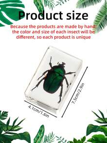 1pc(7.3cm/2.8in) Transparent Resin Insect Paperweight Sculpture - Desk Organizer For Book Lovers & Entomology Fans - Zen Office Paperweight For Anxiety Relief - Unique Birthday Gift For Nature Collectors - Entomology Learning Kit(Hand Made) - Multicolor - View 4