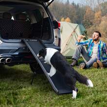 Rampa para perros para coche, vehículo para subir perros, ayuda para la entrada de mascotas 156x40 cm, escalera plegable para perros, hasta 60 kg, protege las articulaciones del perro