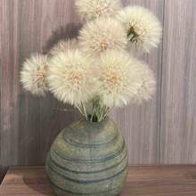 Four Seasons Marigold Seeds - Easy-To-Grow Heirloom Seeds For Indoor And Balcony Landscaping