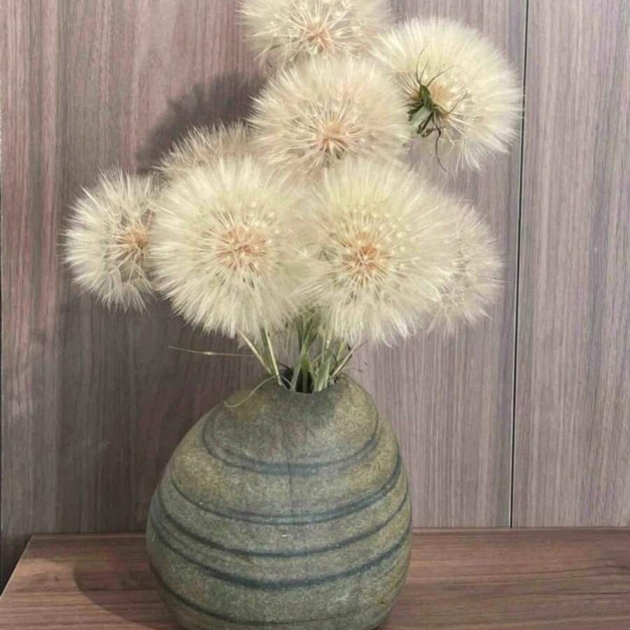 Four Seasons Marigold Seeds - Easy-To-Grow Heirloom Seeds For Indoor And Balcony Landscaping