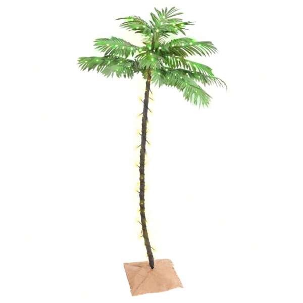 Sapins de Noël