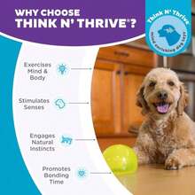 Outward Hound By Planet Dog Snoop Durable Interactive Treat Dispensing Dog Toy, Large, Blue - Vàng Lil Snoop - Xem 7