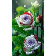 A Rare Rose That Can Bloom Even Below Zero. 200 Cold-Resistant Divine Seeds Easily Produce A Sea Of Flowers. - 變體1 - 查看 2