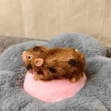 5英寸硅胶小猪柔软可爱迷你逼真动物带配件逼真重生新生猪娃娃减压玩具礼物 - 白色 - 查看 6