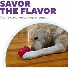 Outward Hound Gummiez Bear 2-In-1 Dental Dog Chew Toy And Dog Treat Stuffer Game, Blue Raspberry Scent, Blue - 櫻桃 - 查看 5