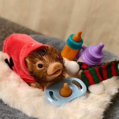 5 Inch Silicone Piglet Soft Cute Mini Realistic Animals With Accessories Lifelike Reborn Newborn Pig Doll Decompression Toy Gift