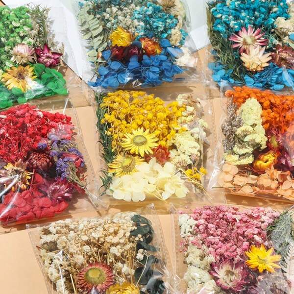 1 paquet de fleurs séchées de plantes, sac de fleurs séchées fait main pour aromathérapie, fleurs flottantes DIY, matériel de fleurs séchées immortelles, sac de matériaux pour fabrication de bougies d'aromathérapie