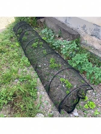 1 opvouwbare tunnelschaduwhoes van gaas voor in de tuin, anti-insectennet, tuinpaviljoen - UV-bescherming voor groenten en fruit, vogel- en insectenbarrière, willekeurige kleur, geschikt voor achtertuin, boerderij en kas