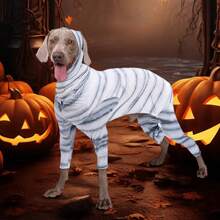 Pet Pajamas