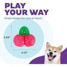Outward Hound Gummiez Bear 2-In-1 Dental Dog Chew Toy And Dog Treat Stuffer Game, Blue Raspberry Scent, Blue - 櫻桃 - 查看 4