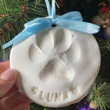 Pet Paw Prints And Handprints Clay, Foot And Hand Mold, Hundred-Day And Full-Moon Gift And Present Footprint Clay