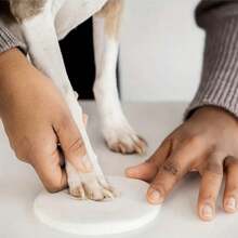 Pet Paw Prints And Handprints Clay, Foot And Hand Mold, Hundred-Day And Full-Moon Gift And Present Footprint Clay