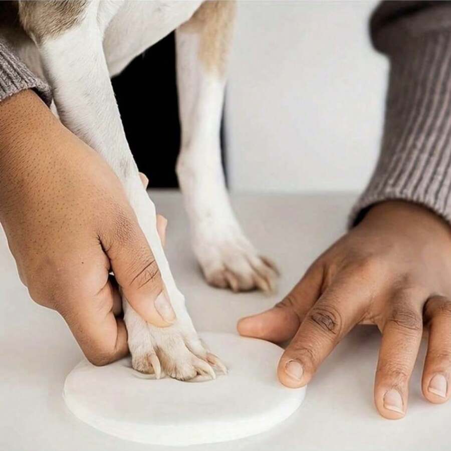 Pet Paw Prints And Handprints Clay, Foot And Hand Mold, Hundred-Day And Full-Moon Gift And Present Footprint Clay