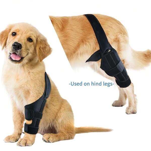 Pet Knee Pads Dog Knee Brace For Joint Injury Recovering From Surgery Adjustable Pets Leg Injurie Bandages Dogs Accessories