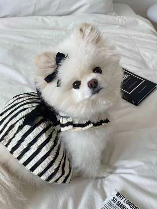 1pc Dog Dress Clothes, Summer Popular Princess Style Sleeveless For Small Dogs & Cats