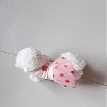 Vestido de tul de verano ligero para mascotas para Pomerania, Bichón Frisé, Caniche, Yorkshire Terrier, Schnauzer y otros perros pequeños - Rosa Pálido - Ver 5