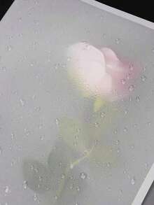 40张韩式花束包装纸，DIY手工礼品包装装饰材料，23英寸 x 23英寸，薄纸，花束用品，粉色薄纸，适用于礼品袋和包装，多色礼品包装纸，情人节礼品包装纸，生日艺术纸工艺品，复活节，母亲节，毕业典礼，礼品包装，工艺品，流苏花环（透明黑色）母亲节毕业典礼 - 白色 - 查看 9