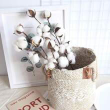 Natural Dried Cotton Stems 8-Pack For Floral Arrangements - 8 - View 9