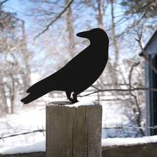 2 件乌鸦剪影金属花园桩 - 现代庭院标志，带桩，适用于家居和万圣节装饰 - 黑色 - 查看 6