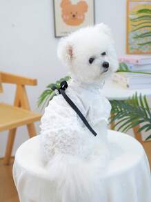 两件套宠物狗和猫用品，适用于小型犬和幼犬、泰迪熊、贵宾犬、可爱休闲时尚薄纱裙套装，含 1 件珍珠和花朵项链和蕾丝衬衫