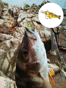 30pcs Soft Shrimp Bait Set, Imitation Shrimp Saltwater Hook, Soft Shrimp Fishing Bait, Freshwater Shrimp Fishing Tackle Saltwater Bass Trout Salmon, Suitable For Outdoor Fishing, A Surprise Gift For Grandpa, Dad And Friends Who Love Fishing - Multicolor - View 4