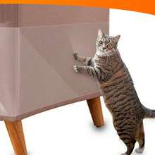 Anti-Scratch PVC Cat Sticker 3M X 23Cm - Trong sáng - Xem 1
