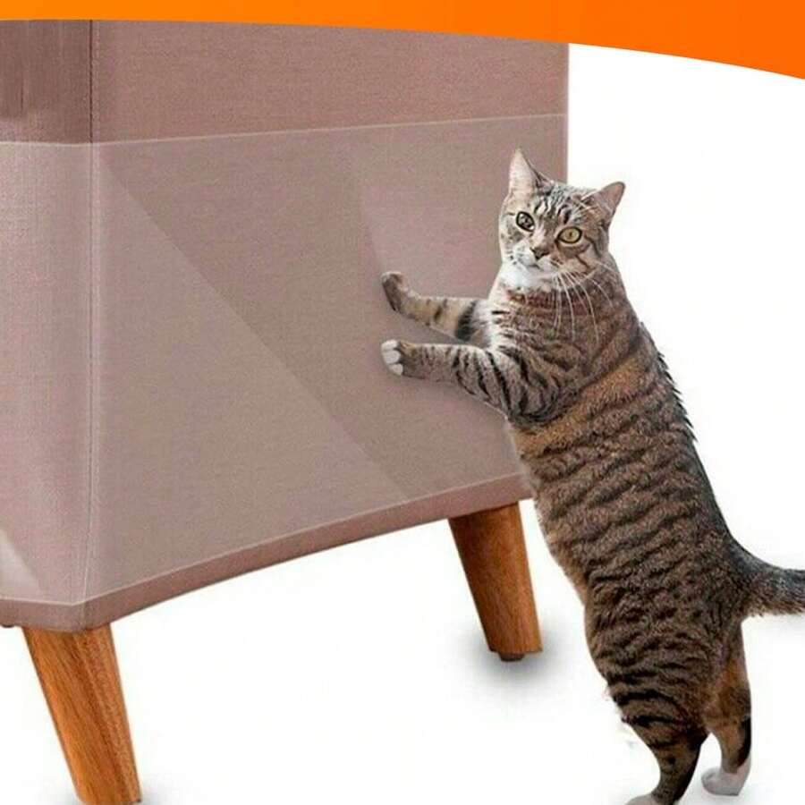 Anti-Scratch PVC Cat Sticker 3M X 23Cm - Trong sáng - Xem 1