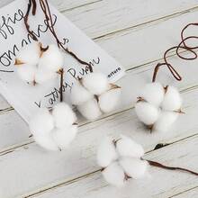 Natural Dried Cotton Stems 8-Pack For Floral Arrangements - 30 - 查看 11