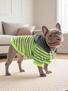 1 件基本款条纹宠物连帽衫，带精致皮革标签，适合中小型犬，柔软舒适的法国斗牛犬幼犬服装 - 橘色 - 查看 8