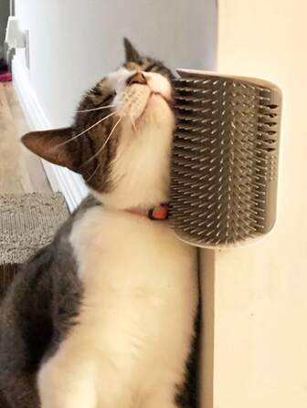 1 件壁挂式猫咪自助美容器，带按摩梳刷 - 非常适合小猫小狗美容和放松