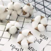 Natural Dried Cotton Stems 8-Pack For Floral Arrangements - 8 - View 3