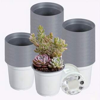 50 stuks zwarte plastic plantenkweekpotten van 10 cm voor het starten van zaden