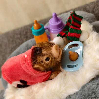 Cerdo de silicona suave y realista de 5 pulgadas, con accesorios, muñeco de cerdo recién nacido similar a un Reborn, juguete antiestrés, regalo