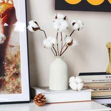 Natural Dried Cotton Stems 8-Pack For Floral Arrangements - 30 - 查看 4