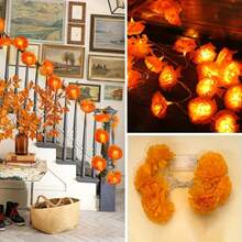 1 件大粒雏菊灯串，LED 花环灯，电池供电万圣节装饰灯，节日氛围灯，用于房间卧室装饰，婚礼派对装饰，万圣节装饰，圣诞节装饰，家居装饰万圣节装饰灯家居装饰派对装饰万圣节装饰房间装饰万圣节花园装饰，可作为礼物仙女 - 暖白色 - 查看 9