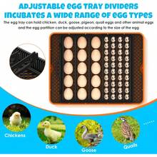 25 Egg Incubator Digital Poultry Hatcher Machine With Automatic Egg Turning, Incubators For Hatching Eggs, Temperature & Humidity Control, LED Screen, General Purpose Incubator( - trái cam - Xem 7