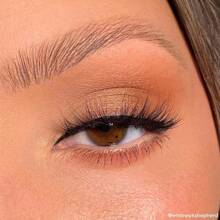 Paleta de sombras de ojos ColourPop Stone Cold Fox - Paleta de maquillaje de ojos de 30 tonos con acabados mate y metálicos - Maquillaje de ojos de alta pigmentación con fórmula de larga duración (33 g)