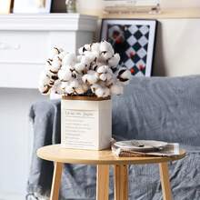 Natural Dried Cotton Stems 8-Pack For Floral Arrangements - 30 - 查看 3
