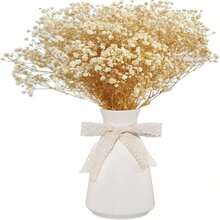 Free ShippingNatural Dried Gypsophila Flowers White S Breath Stems For Home Decor, Weddings, Crafts