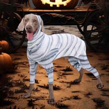 Pet Pajamas
