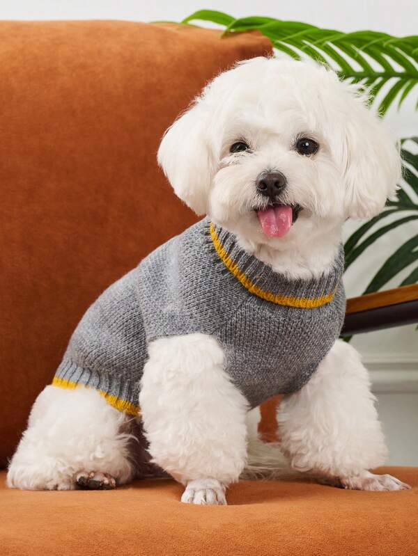 UFBemo UFBemo Gray Pet Sweater, Cute, Warm, Thick, Casual Minimalist Style, Contrast Color Design, High-Grade Gray, Suitable For Cats And Small Dogs In Autumn/Winter