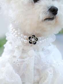 两件套宠物狗和猫用品，适用于小型犬和幼犬、泰迪熊、贵宾犬、可爱休闲时尚薄纱裙套装，含 1 件珍珠和花朵项链和蕾丝衬衫