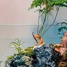 5/1pc Charming Cat PVC Miniature Cartoon Cat Figurines ,Aquarium Decor Resin Statues For Fish Tank Fairy Garden Landscape ,Home Decor Mini Cat Ornaments,Nice Gift For Birhday,Random Color,Fishing Cat Figuriens - Multicolor - View 9