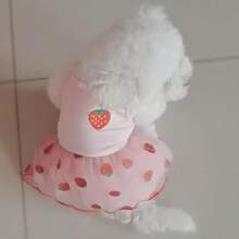 Vestido de tul de verano ligero para mascotas para Pomerania, Bichón Frisé, Caniche, Yorkshire Terrier, Schnauzer y otros perros pequeños - Rosa Pálido - Ver 6