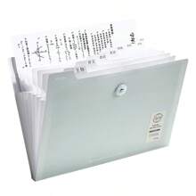 1pc Cute Exam Paper/Document Organizer Bag, A4 Size Subject Separation Accordion File Folder For Office, School, Students,For School Supplies,Back To School