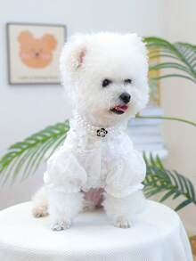 两件套宠物狗和猫用品，适用于小型犬和幼犬、泰迪熊、贵宾犬、可爱休闲时尚薄纱裙套装，含 1 件珍珠和花朵项链和蕾丝衬衫